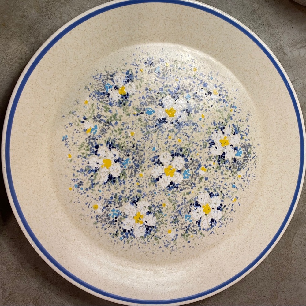 SOLD! Vintage DewDrops Temperware by Lenox plate